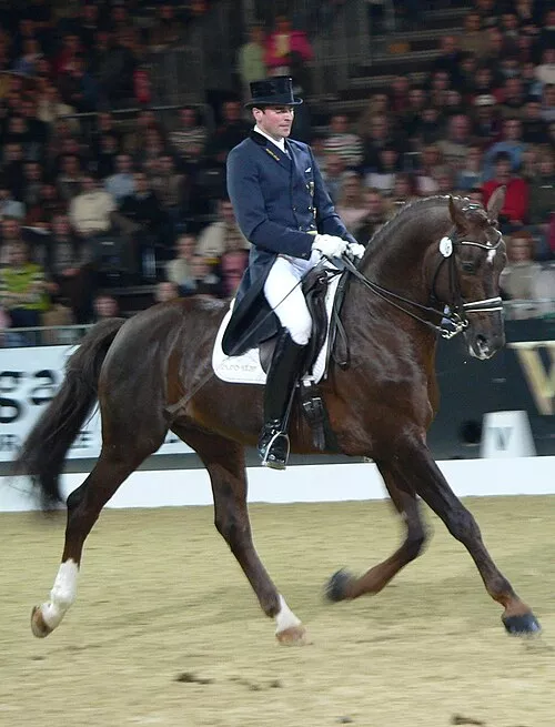 Cheval et cavalier réalisant une figure de dressage