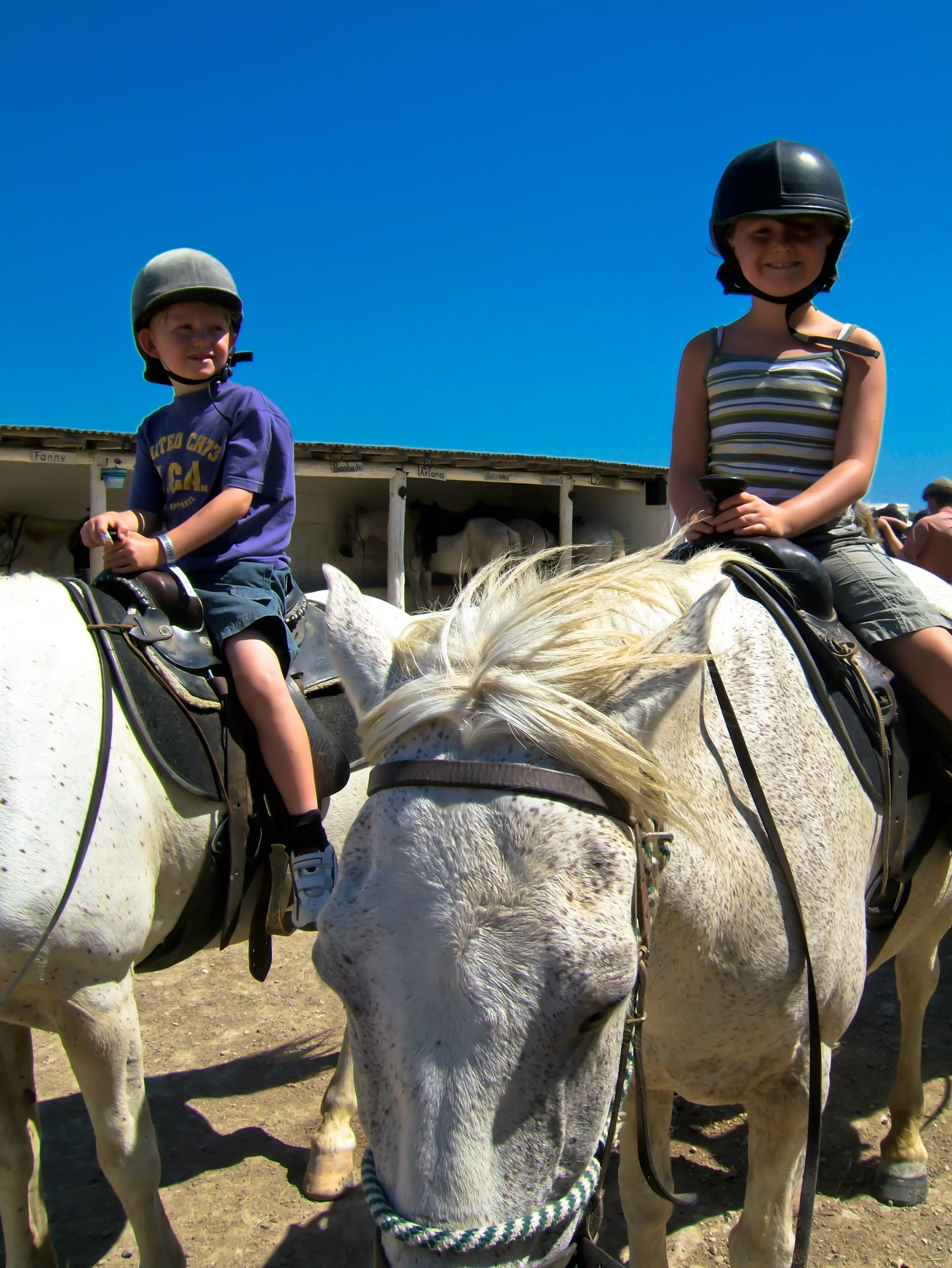 Cours d’équitation dans un centre équestre