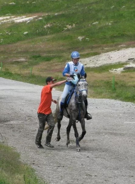 Cheval et cavalier pendant une épreuve d’endurance
