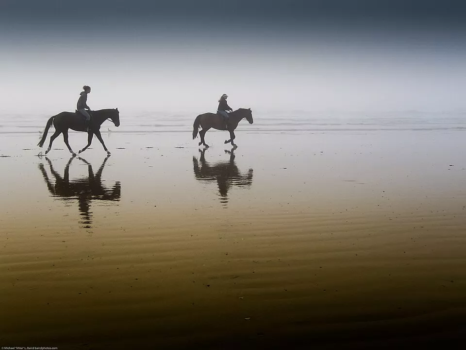 Cavalier pratiquant l’équitation de loisir