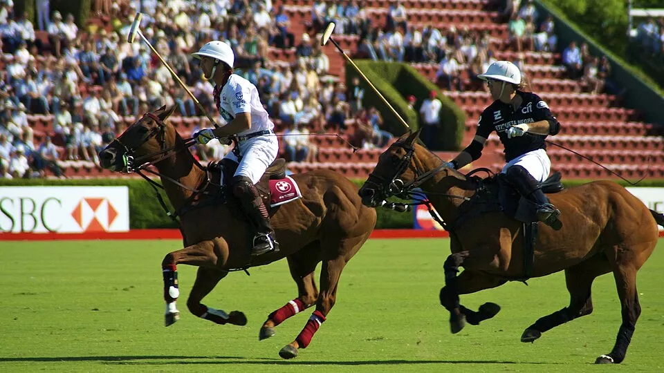 Joueurs de polo à cheval avec leurs maillets