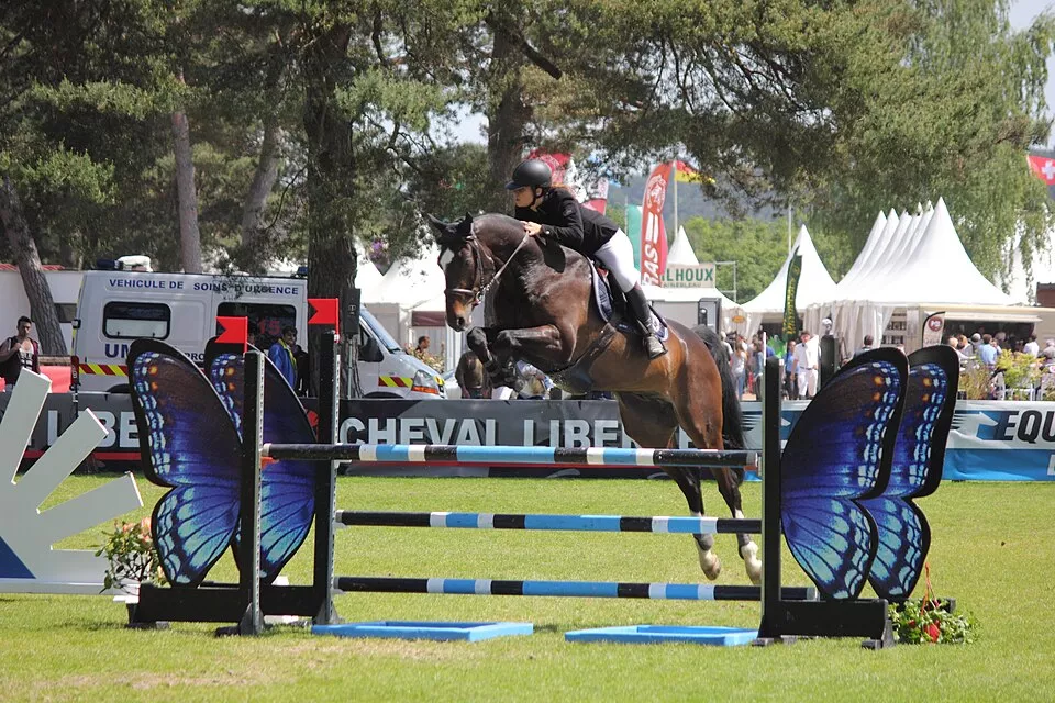 Cheval franchissant un obstacle lors d’un parcours