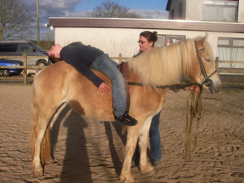 Séance de médiation équine avec un cheval