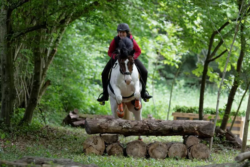 Cavalier franchissant un obstacle de TREC
