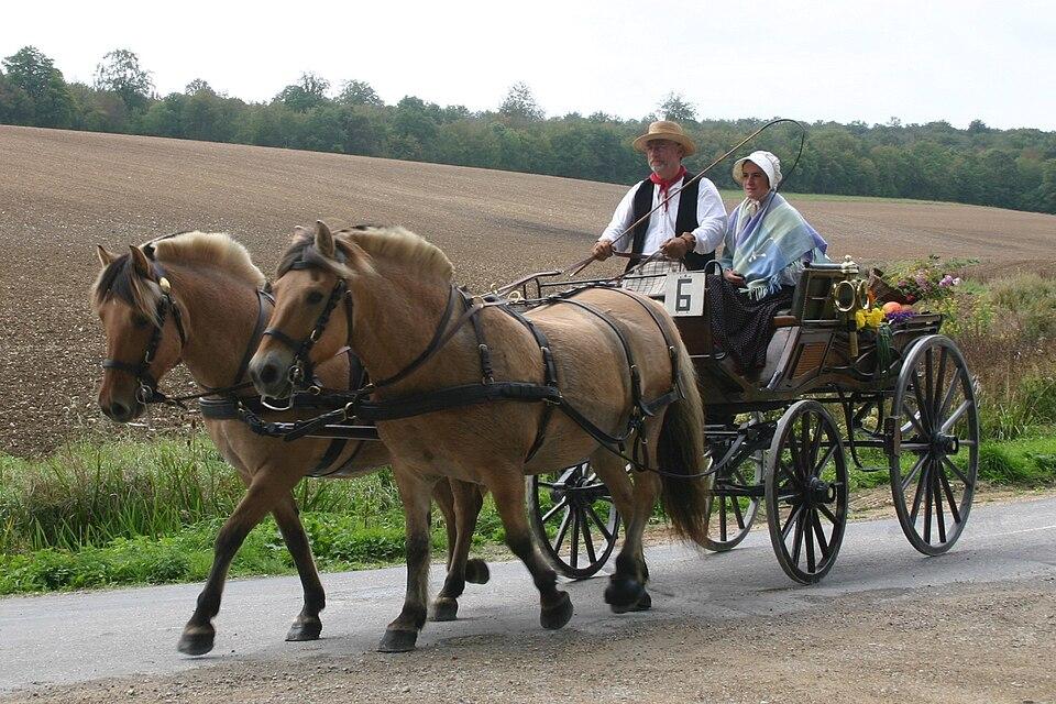 Attelage en pair par sangles - CC BY-SA 3.0 - Beideler René