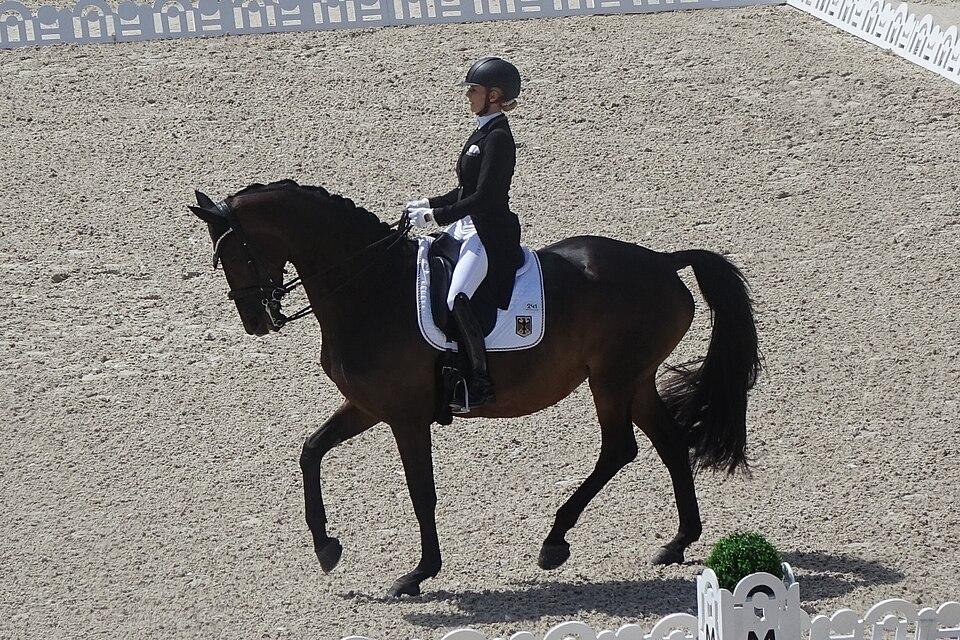 Jessica von Bredow-Werndl (GER) et TSF Dalera BB sur la reprise libre du Grand Prix Finale de Dressage individuel Jeux Olympiques de Paris 2024 - CC BY 4.0 - Eponimm  