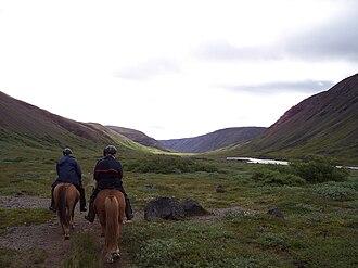 L'Islande est réputée pour la randonnée équestre. - CC BY-SA 3.0 - Jóna Þórunn 