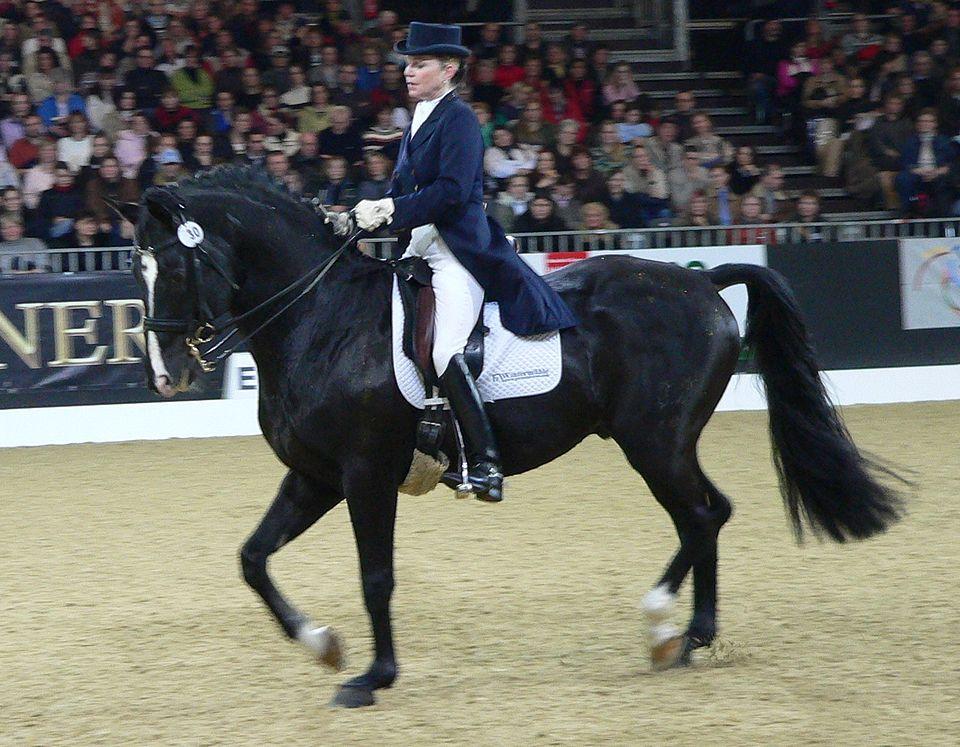 Dressage, passage Trakhener - CC BY-SA 3.0 - BS Thurner Hof
