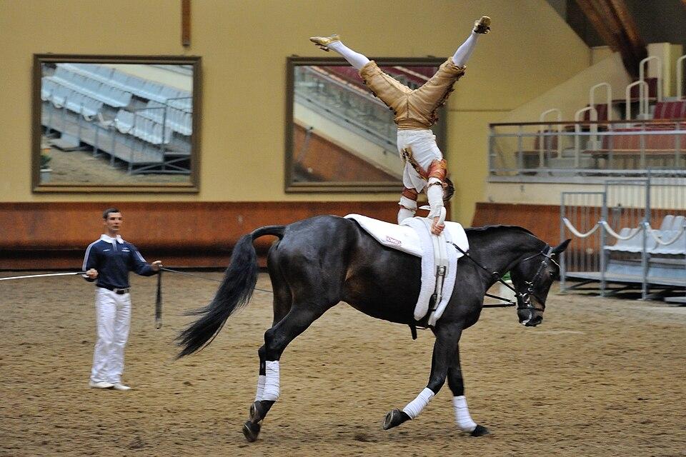 Vaulting demonstration at the Cadre Noir. - CC BY-SA 3.0 - Croquant
