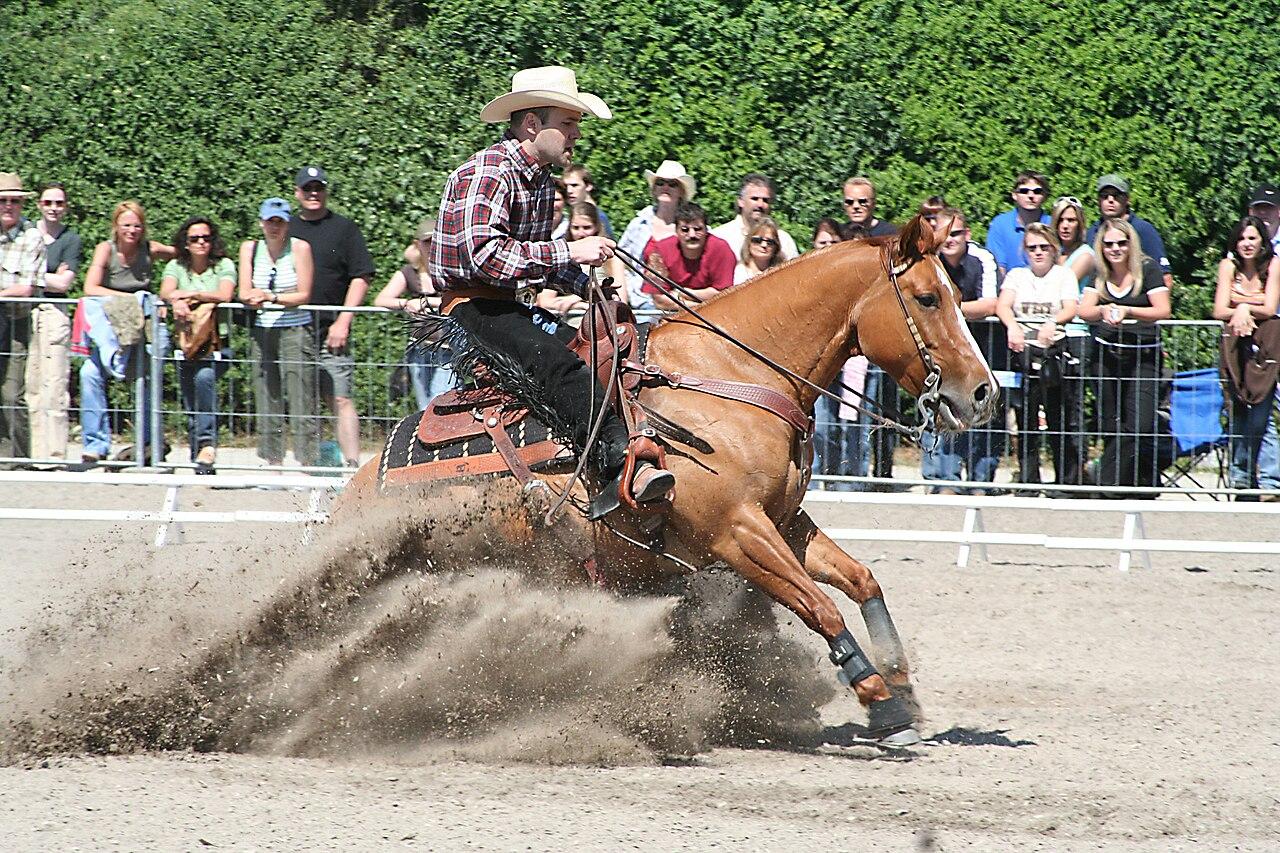  Reining, a Sliding Stop - CC BY-SA 3.0 - AllX