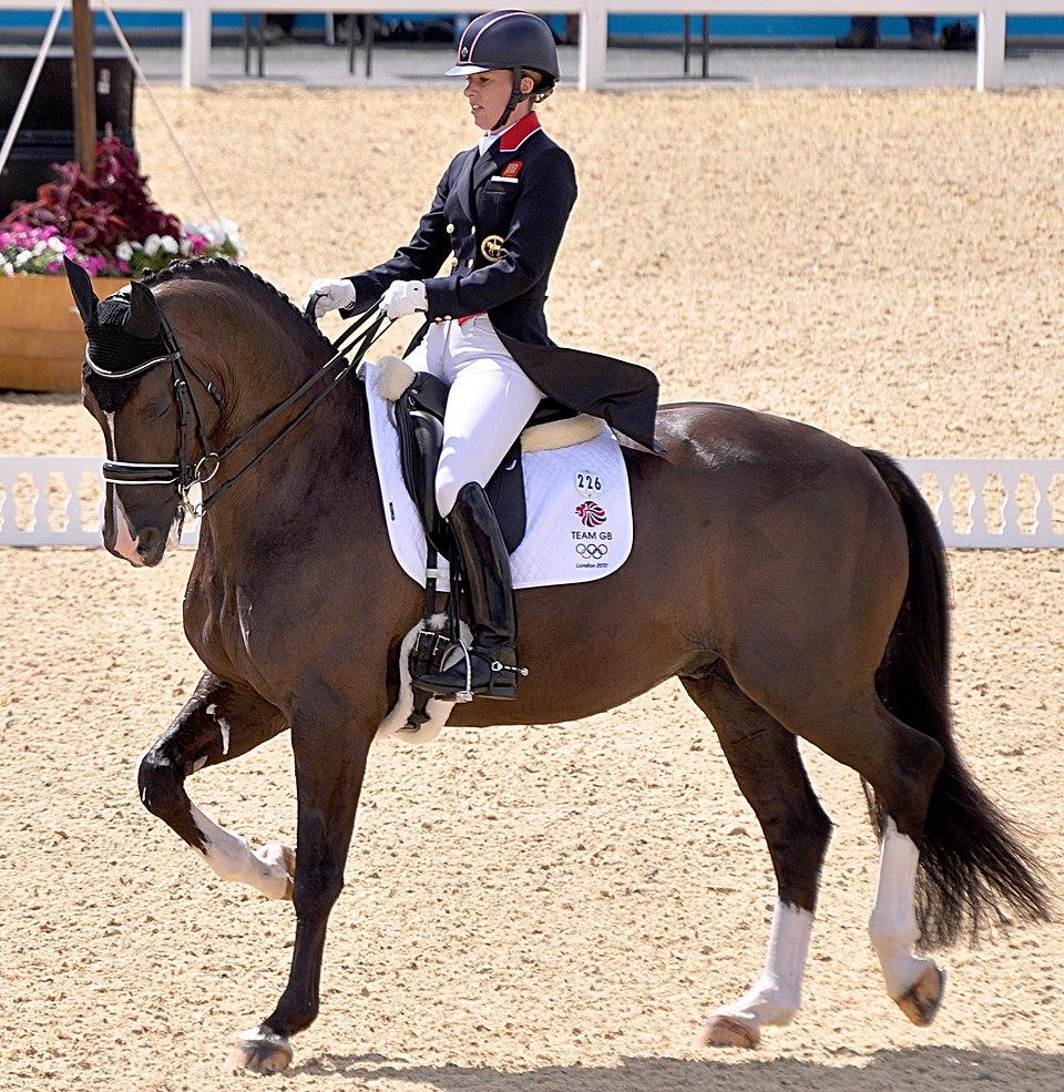  A rider and their top-level dressage horse perform a series of movements on which they will be judged. - CC BY-SA 3.0 - Nordlicht8
