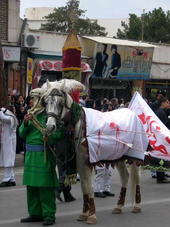 Cheval arabe persan gris lors d'un défilé à Nishapur - CC0 - Sonia Sevilla 