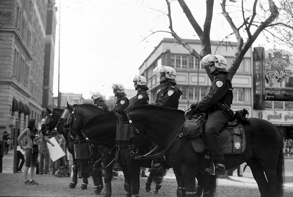 Chevaux canadiens de la police de Montréal - CC BY 2.0 - Gerry Lauzon