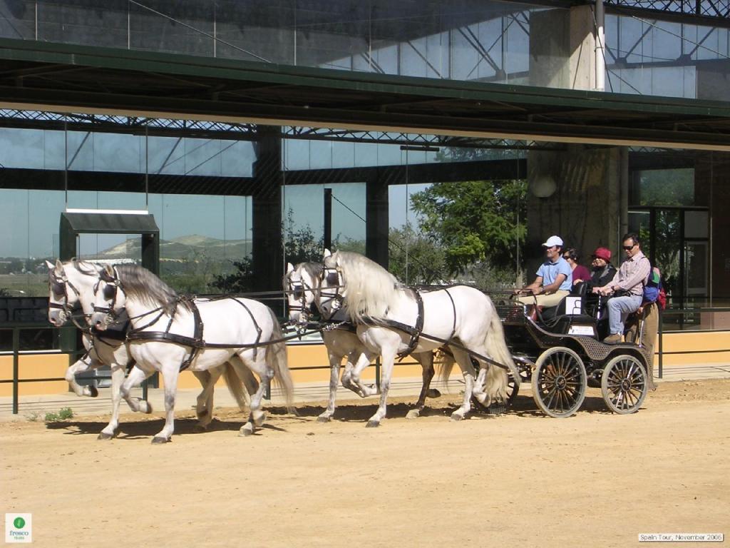  Attelage de Chartreux. - Photo : Fresco Tours 