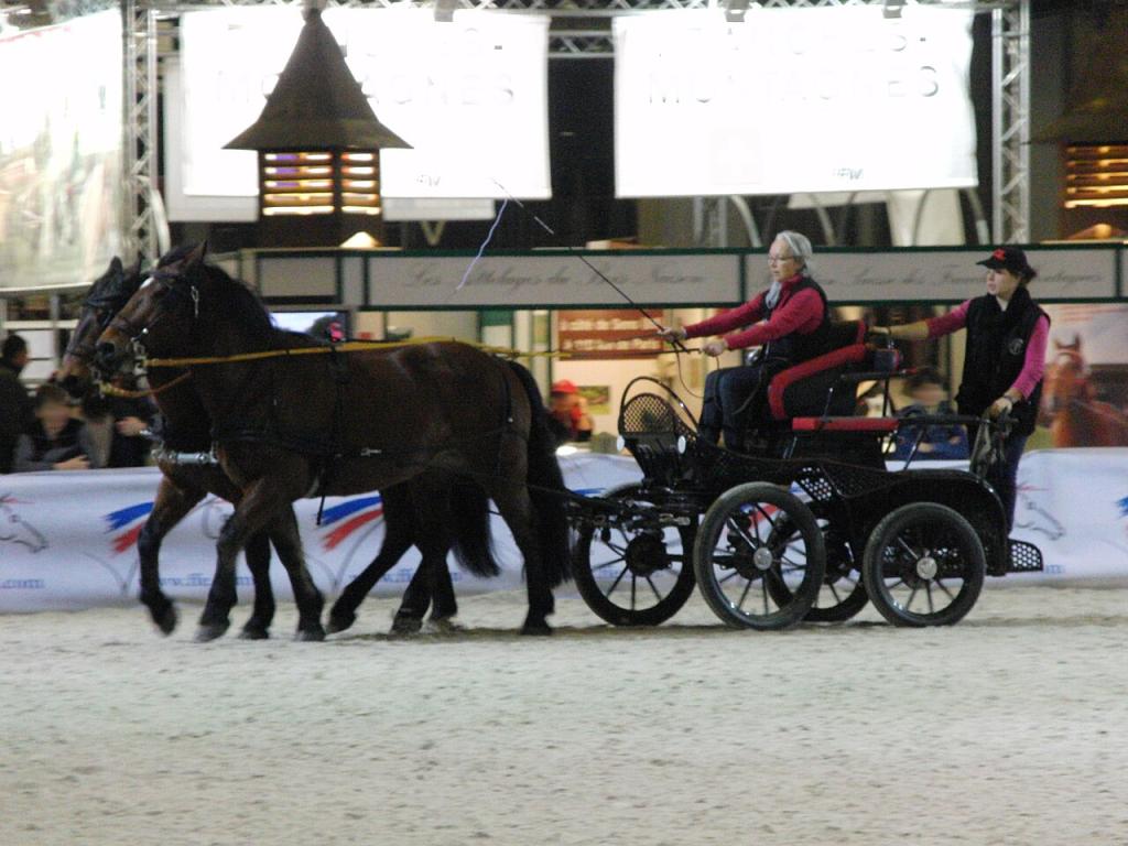 Attelage de chevaux castillonnais au Salon du cheval de Paris 2011. - CC BY-SA 3.0 - Eponimm 