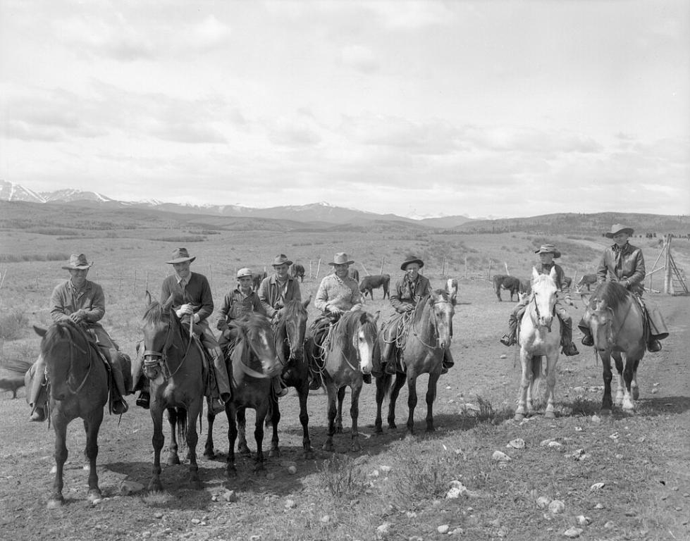 Groupe de cow-boy canadiens escortant du bétail, 1947 - No restrictions -  Provincial Archives of Alberta 