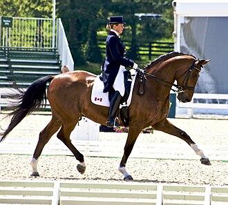 Le cheval de sport canadien Pikardi et sa cavalière Bonny Bonnello à la Kentucky Cup de 2010. - CC BY 2.0 - Jean