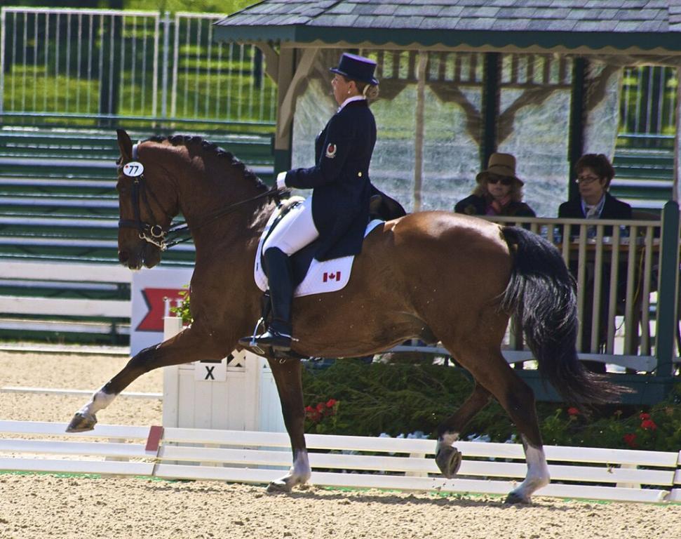 Le cheval de sport canadien Pikardi au trot allongé, et sa cavalière Bonny Bonnello à la Kentucky Cup de 2010. - CC BY 2.0 - Jean 