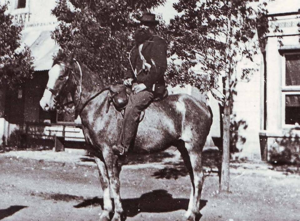 Cheval du Cap au début du XXe siècle, avant 1914 - Domaine public