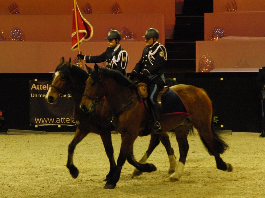 Deux cobs normands montés par la police nationale au salon du cheval de Paris en 2009. - Photo : Eponimm 