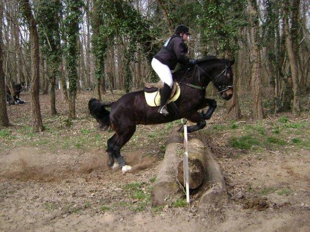 Olympe de Fontaine, jument Cob Normand sur le cross - Photo : Eponimm