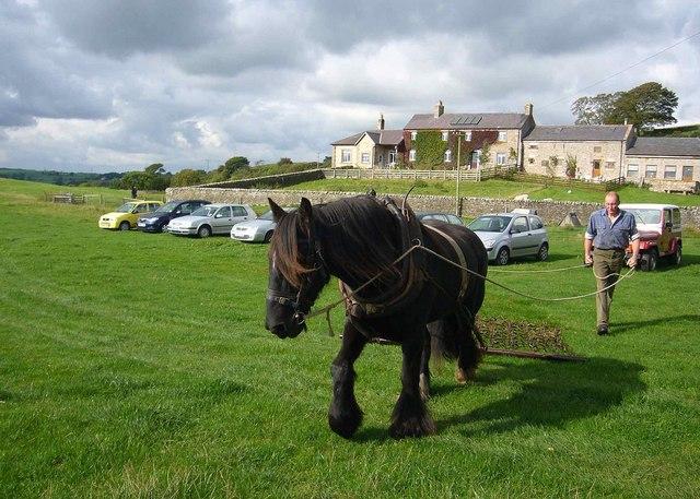 Le Working Dales Pony Centre, Clarks Hill Farm Le centre élève des poneys Dales et les utilise toujours pour le « Snigging » (l'extraction du bois dans des zones forestières difficiles). - Photo : Bill Cresswell