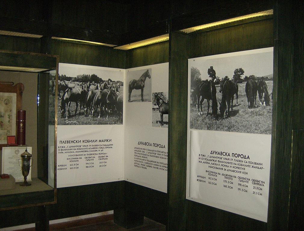 Histoire de la race danubienne présentée au musée du cheval du haras de Kabiuk - Photo : Izvora 