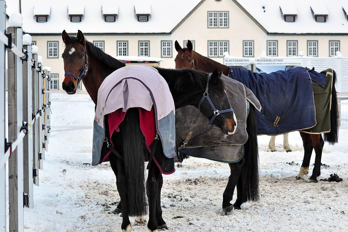 Dans l'abbaye d'Einsiedeln - CC BY-SA 3.0 - Roland zh 