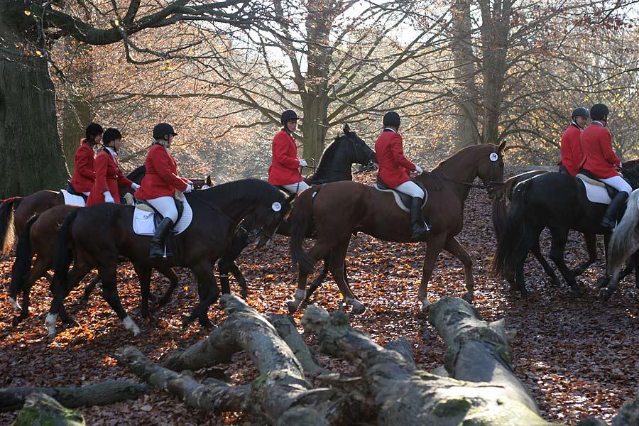 Un groupe de chasseurs sur le terrain au Danemark. - Photo : Henrik Jessen