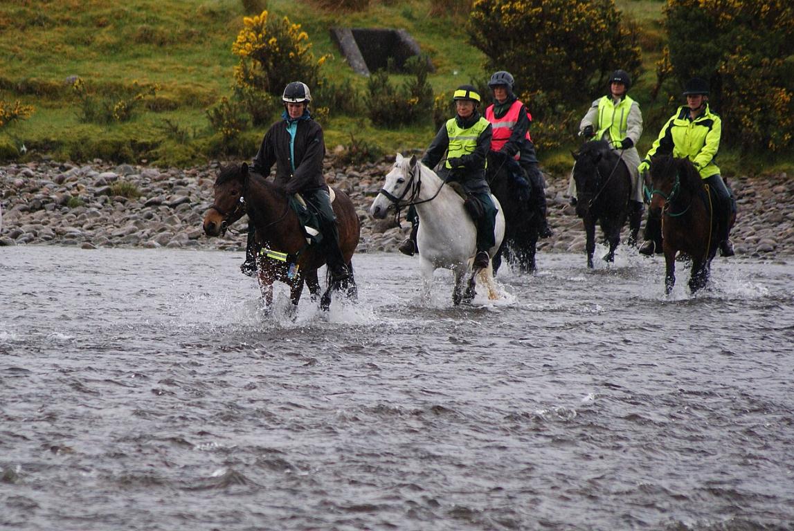Groupe de poneys Eriskay montés au passage d'une rivière lors d'une randonnée.  - CC BY-SA 4.0 - Photo : West!islandman