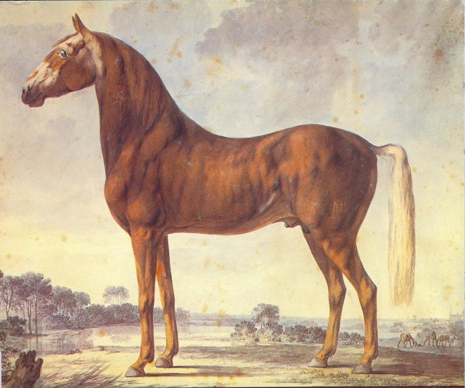 Un cheval Frederiksborg vers 1830, par Christian David Gebauer.