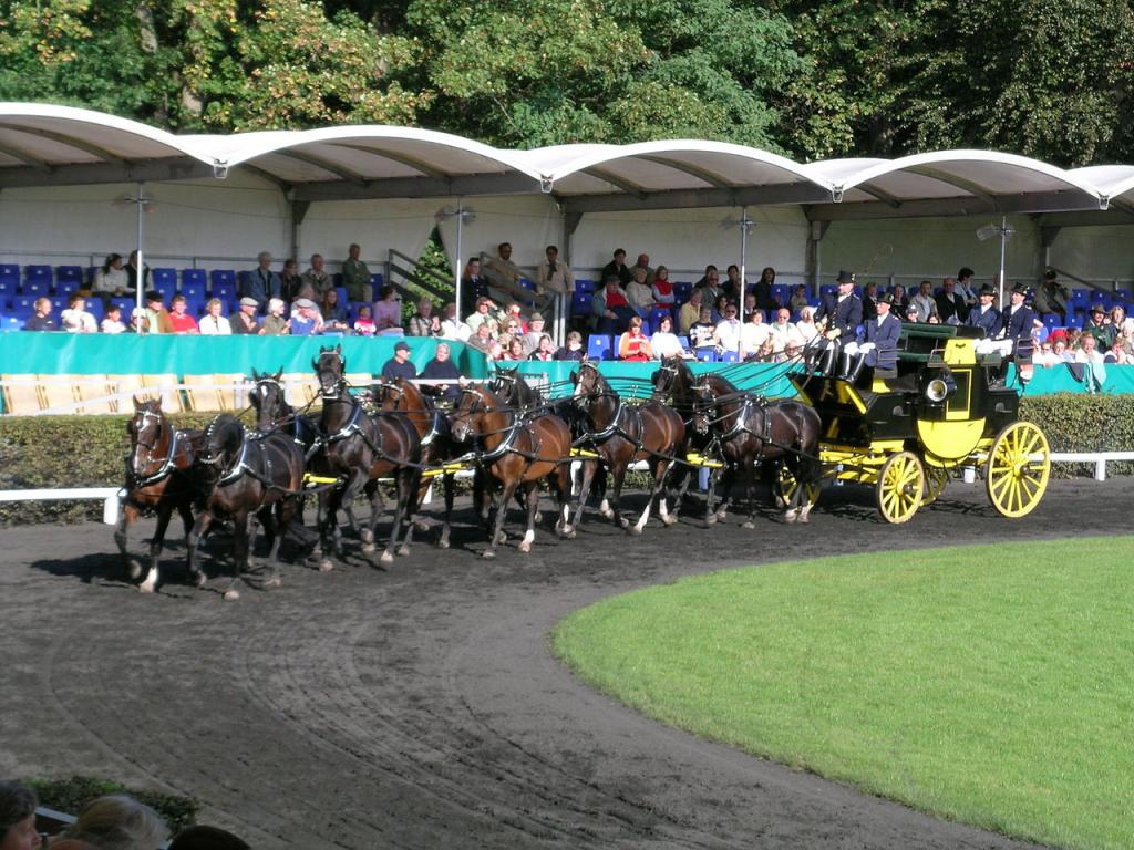 Équipage de dix Hanovriens à l'attelage. - CC BY-SA 3.0 - Hajotthu