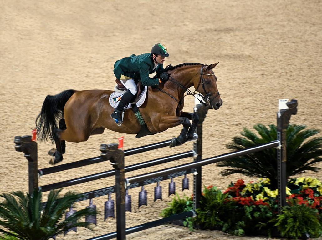 Hanovrien | Saut d'obstacles équestres olympiques à Hong Kong. Lantinus (hongre bai de 1998 par Landkönig) et son cavalier Denis Lynch.