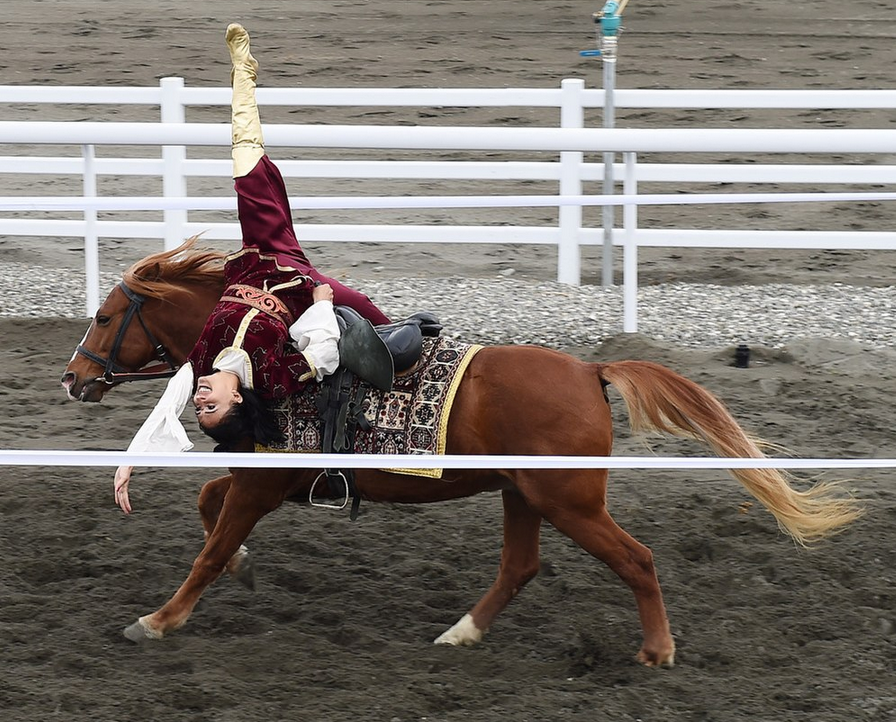 Voltige en ligne au galop sur un cheval de race Karabakh -  CC BY 4.0 - President.az
