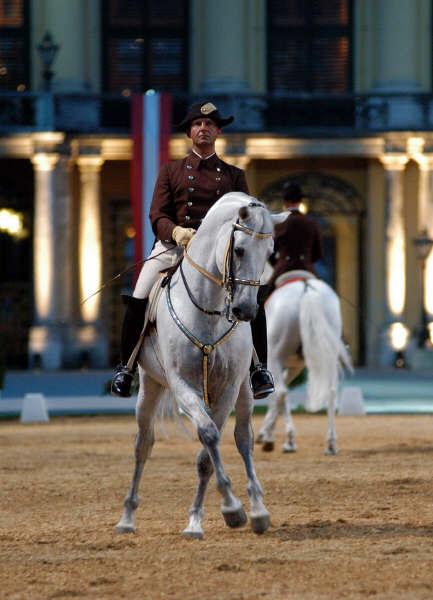 L'étalon lipizzan Maestoso Basowizza monté par Andreas Hausberger, en démonstration de dressage au château de Schönbrunn à Vienne. - CC BY-SA 3.0 - Machoxx