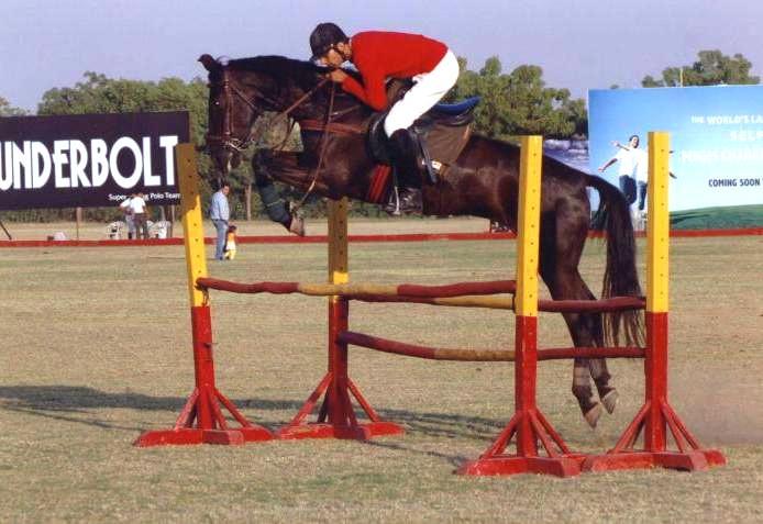 Un Marwari en démonstration de saut d'obstacles - CC BY-SA 3.0 - Gaurav Joshi