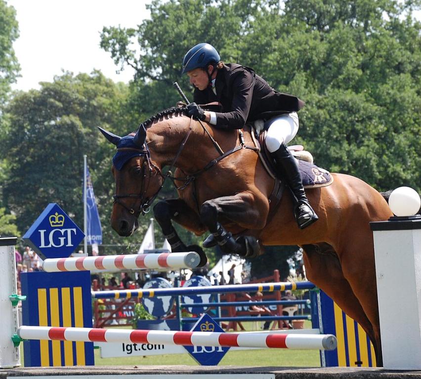 Chacco-Blue, Mecklembourgeois, au CSI5* de Hambourg. - CC BY-SA 3.0 - Nordlicht8