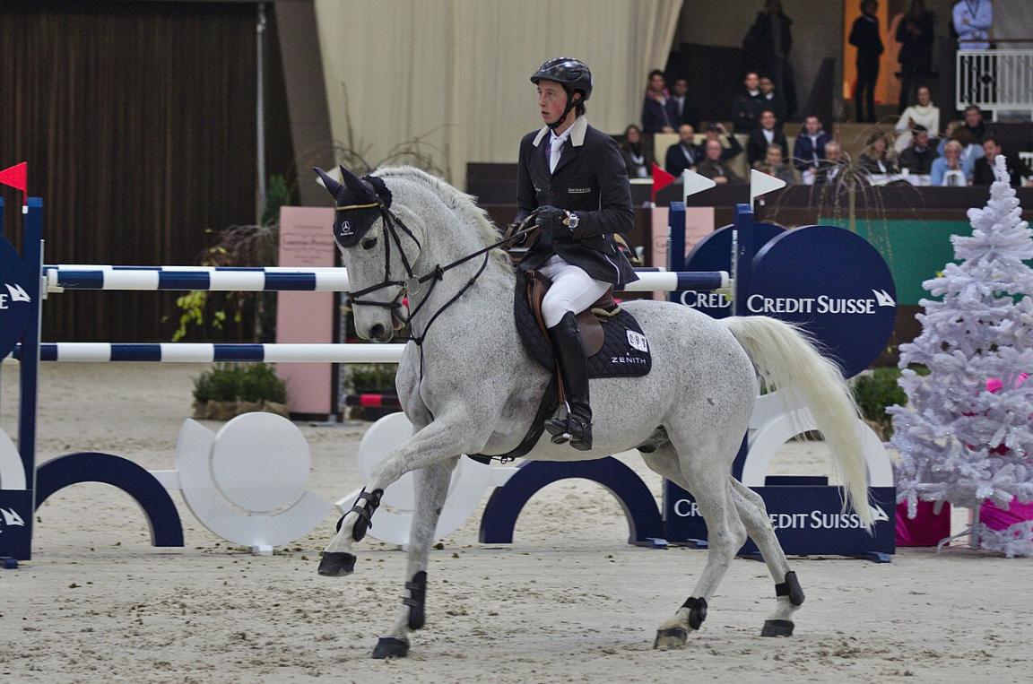 Le Mecklembourgeois Principal 12 monté par Martin Fuchs au CHI de Genève 2013 - CC BY-SA 3.0 - Clément Bucco-Lechat
