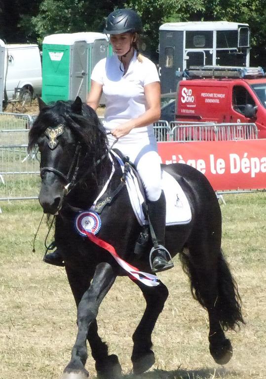 Atchoum du Marlet, champion de la race de Mérens lors du championnat national de 2019 et de 2022, monté par Colleen Gouin. - CC BY-SA 4.0 - Tsaag Valren