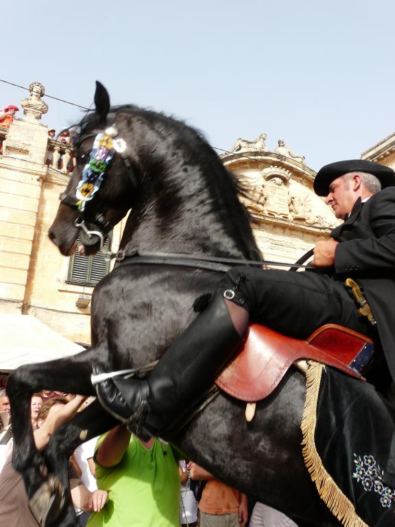 Cheval minorquin en spectacle - CC BY-SA 4.0 - Marta Ensesa 