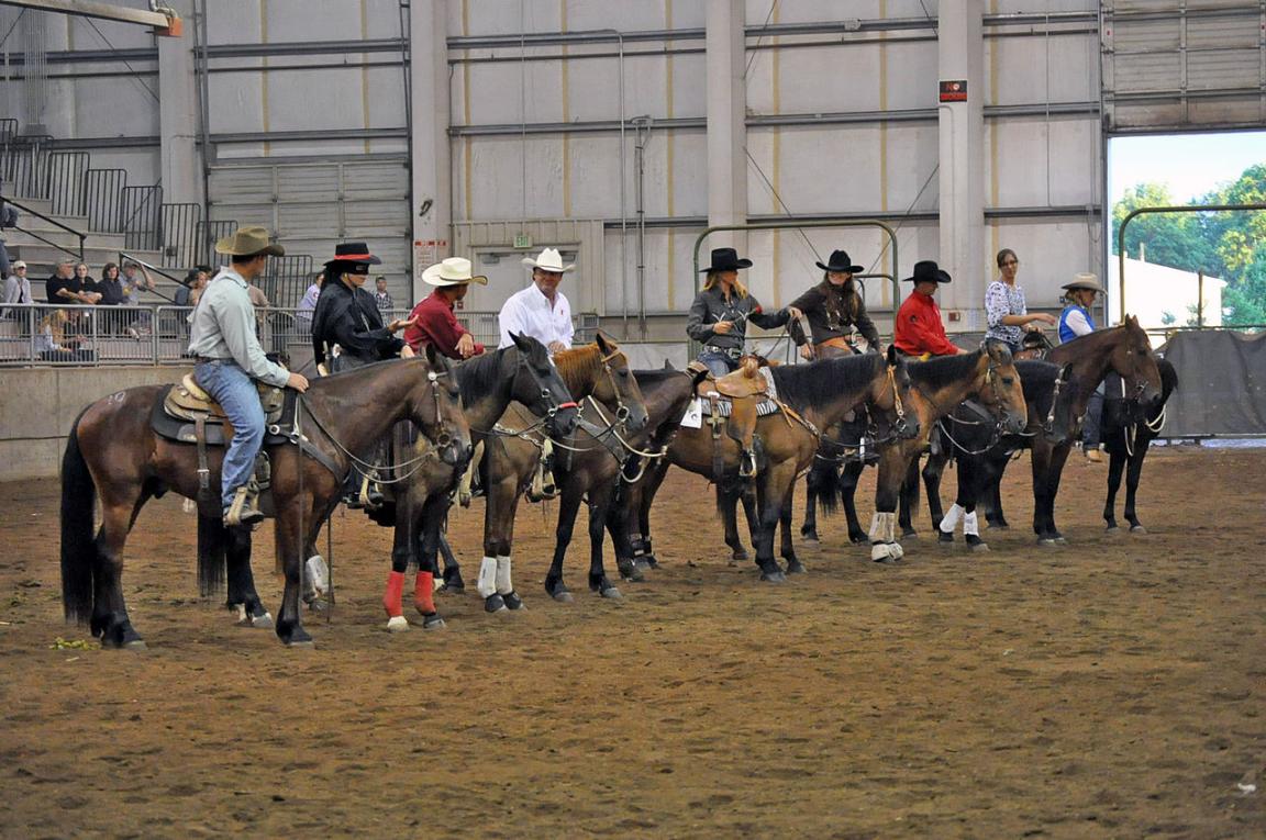 Extreme Mustang Makeover dans l'Oregon en 2012. - Domaine public - Photo by Tara Martinak, Burns District, Bureau of Land Management