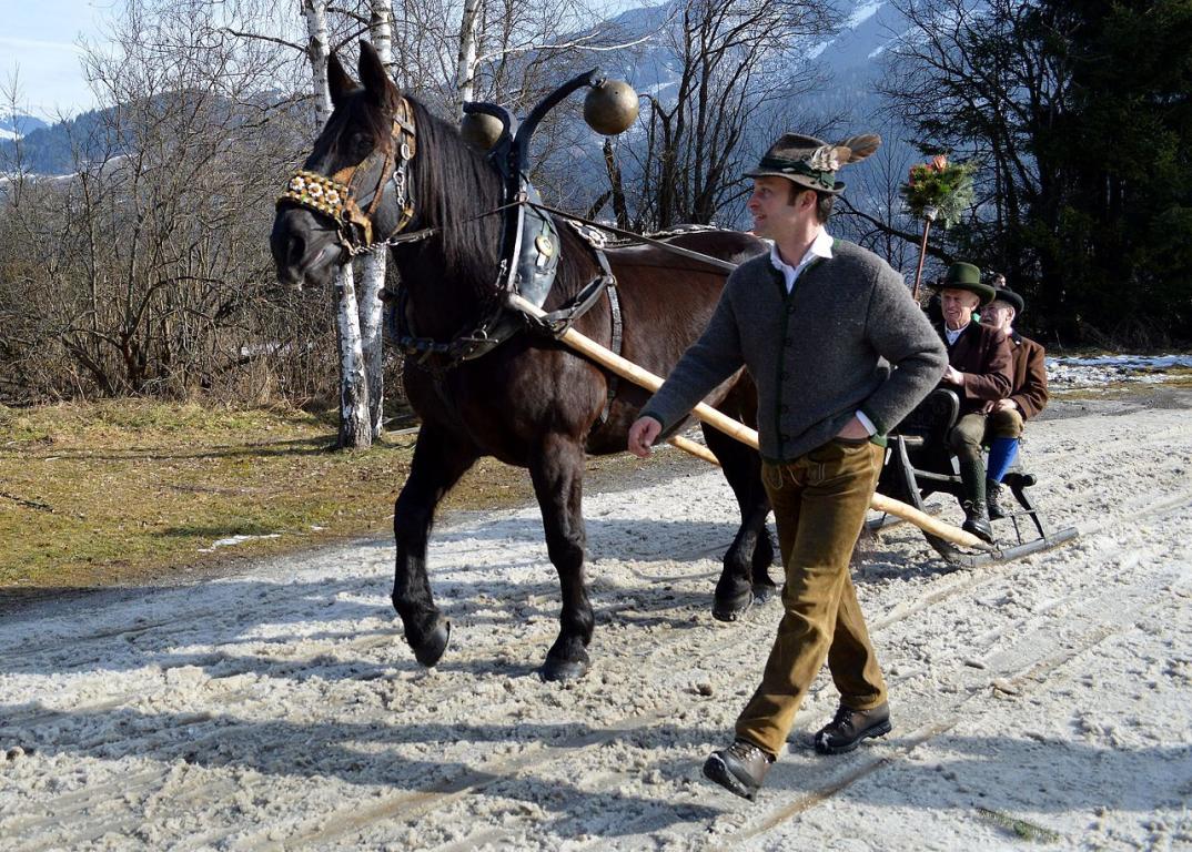Noriker en attelage traditionnel à Zell am See. - CC BY-SA 4.0 - Wald1siedel 