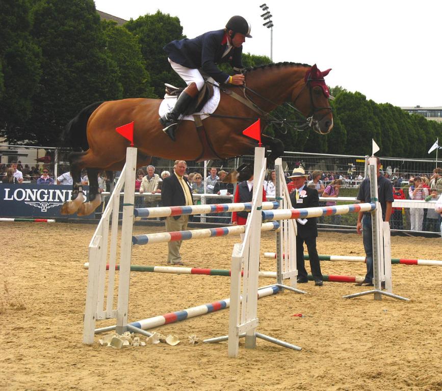 Nich Skelton et l'oldenbourg Arko III au concours international de saut d'obstacles 5 étoiles de Dublin en 2008. -Culnacreann — Travail personnel