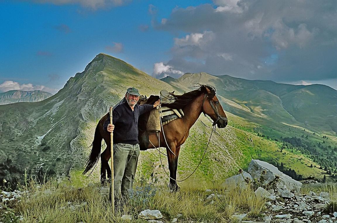 Pindos avec son cavalier près de l'Aspropotamos, en Grèce. - CC BY 2.0 - Natalia 