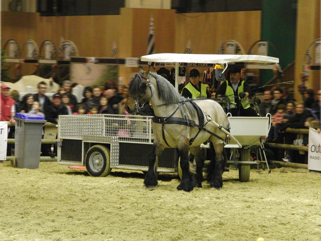 Démonstration d'attelage de travail avec un Poitevin mulassier au Salon international de l'agriculture de 2013. - Photo : Eponimm
