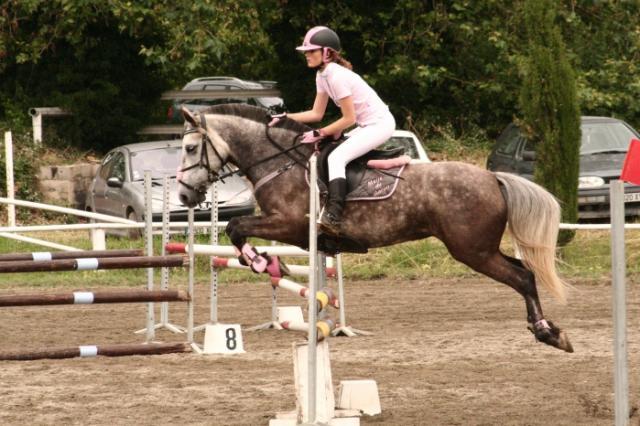 Meije du Garon, jument Poney Français de Selle saut d'obstacles - CC BY-SA 3.0 - Eponimm 