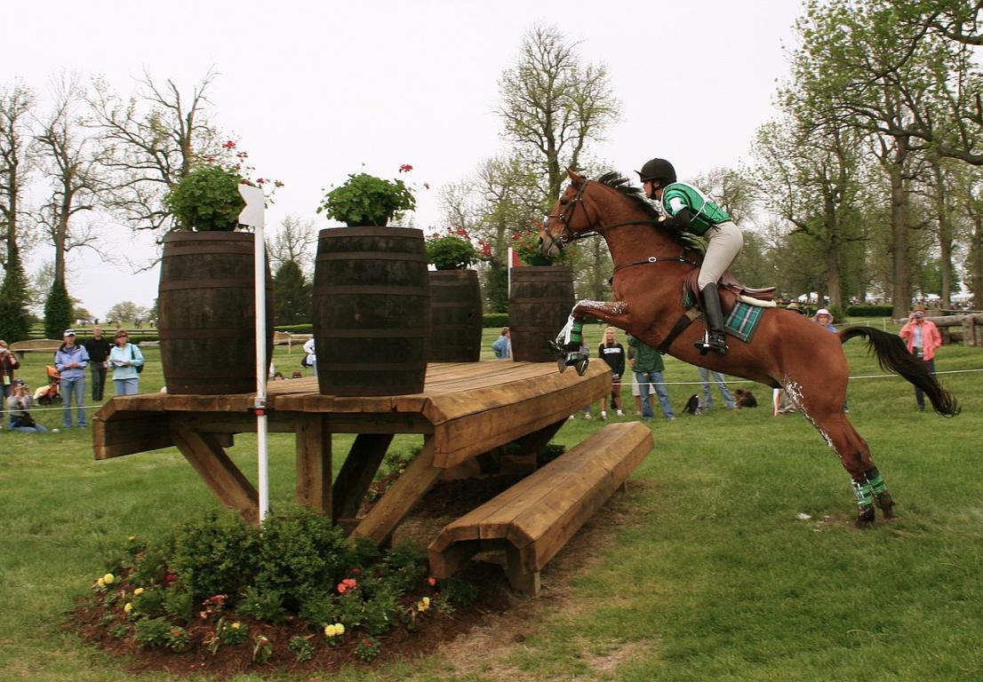 Un Pur-sang en concours complet d'équitation. - CC BY-SA 2.5 - Photo by Ronald C. Yochum, Jr. ronjamin 