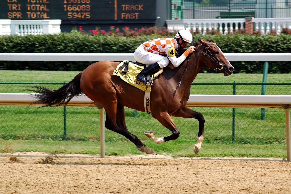 Cheval pur sang galopant dans le champ de courses de Churchill Downs à Louisville, dans le Kentuky (USA). - Photo : Jeff Kubina