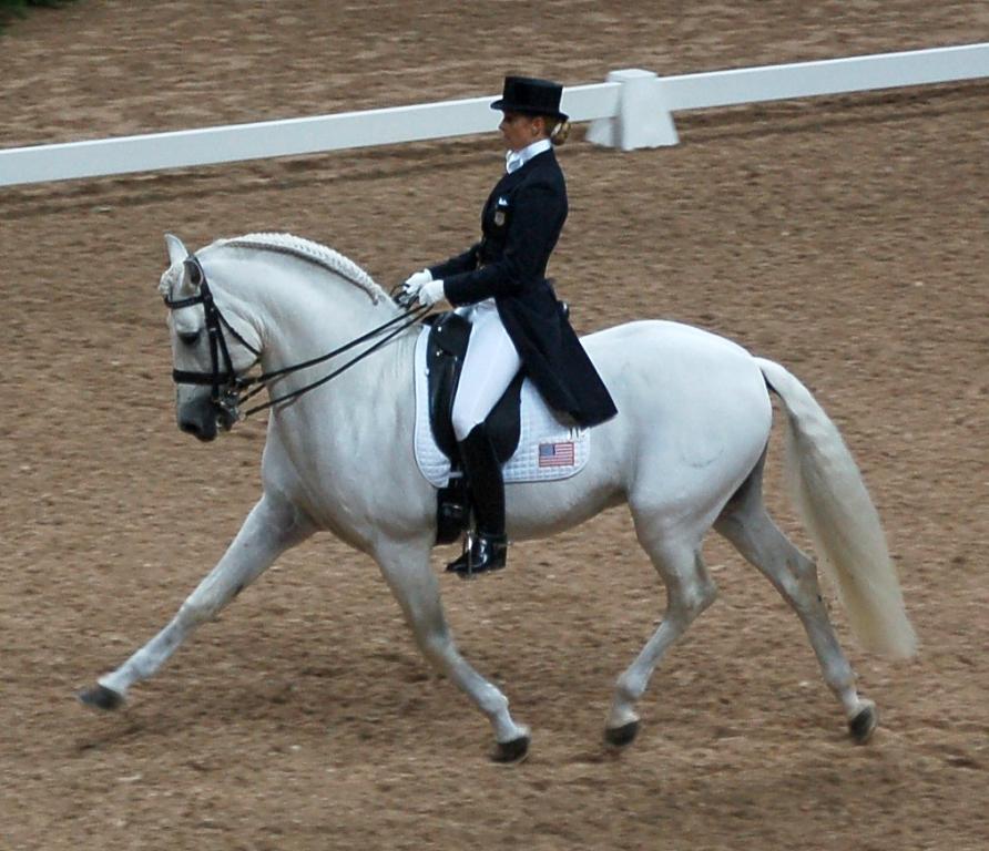 PRE lors d’une compétition internationale de dressage. - Photo : Nick