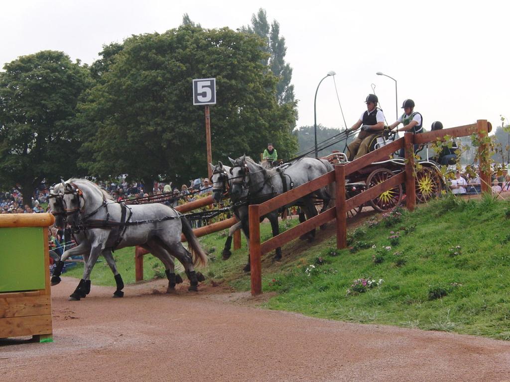 Le meneur espagnol José Barranco Reyes et ses PRE aux Jeux équestres mondiaux de 2014. - Photo : Eponimm 